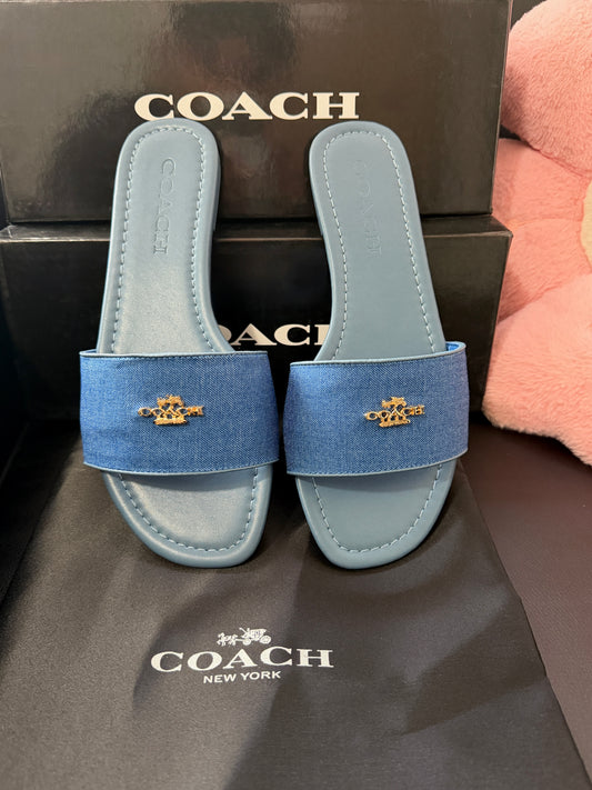 Blue Sandals
