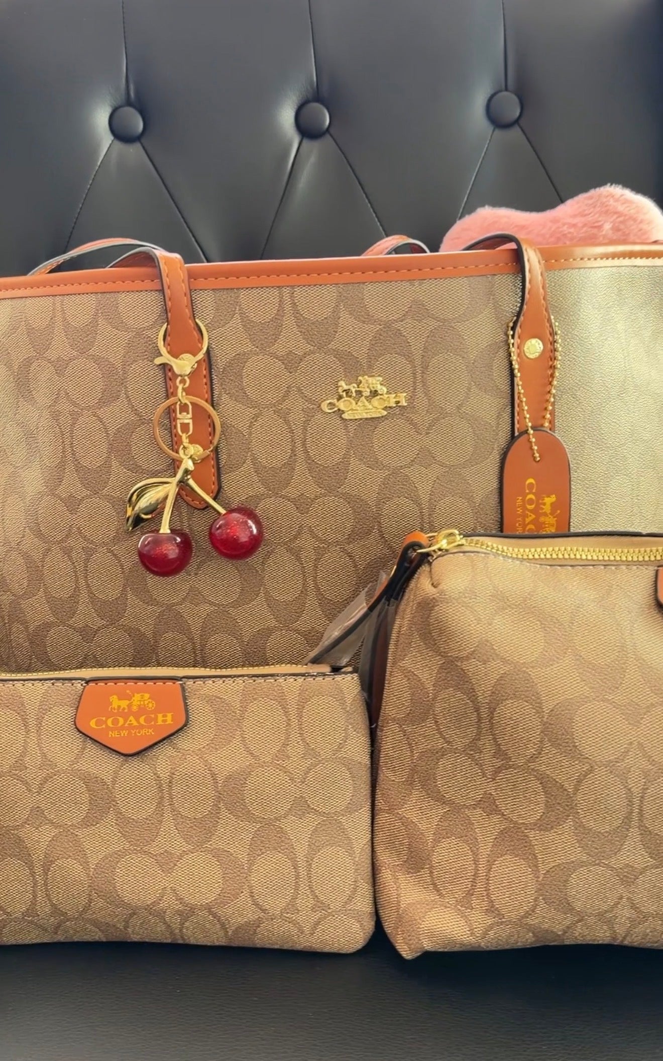 Brown Tote Set