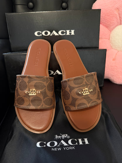 Brown Sandals